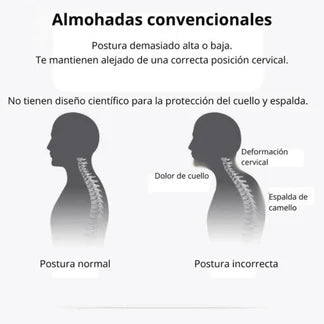 Almohada Ortopédica Ergonómica - Soporte ideal para dormir - Logra un sueño profundo y reparador